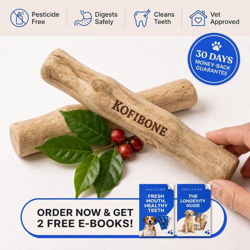 Kofibone™ Coffee Wood Chew