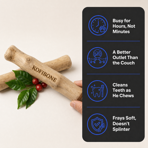 Kofibone™ Coffee Wood Chew