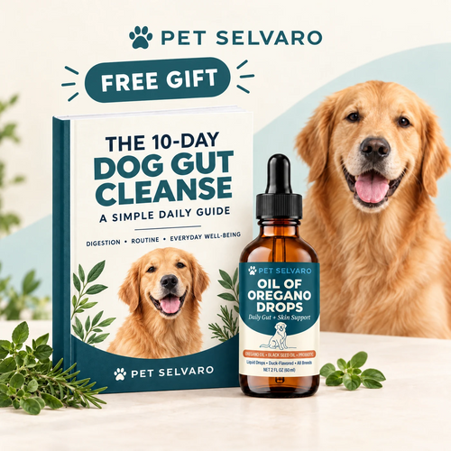 The 10-Day Dog Gut Cleanse